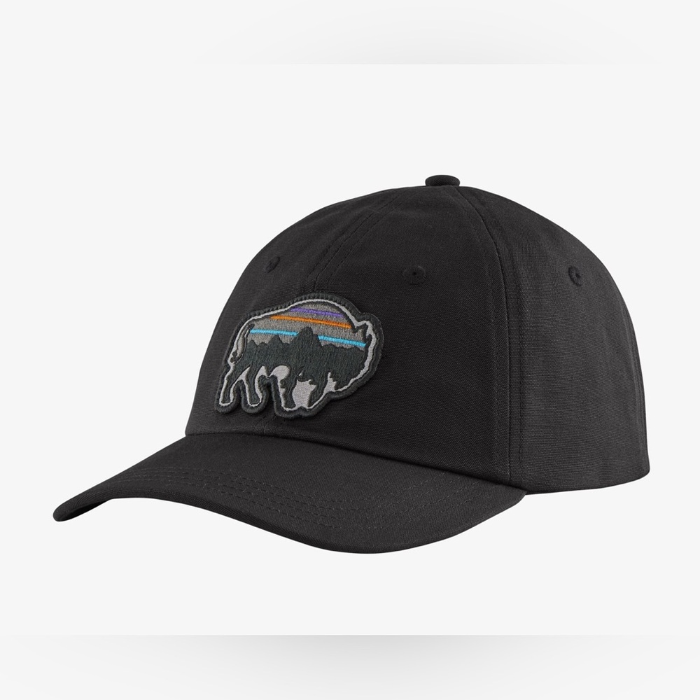 Patagonia Back for Good Trad Cap - Men's - One Size / Black